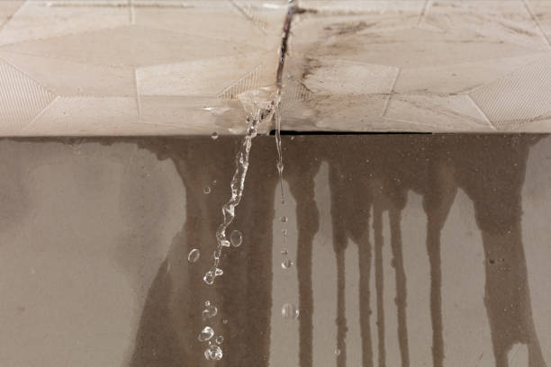 Professional Water Damage Inspection technician working in Great Meadows, NJ